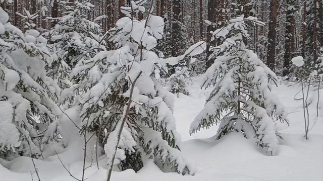 Снег летит и летит.