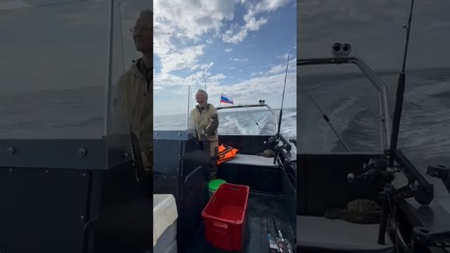 VID_20240814_132445_933.mp4