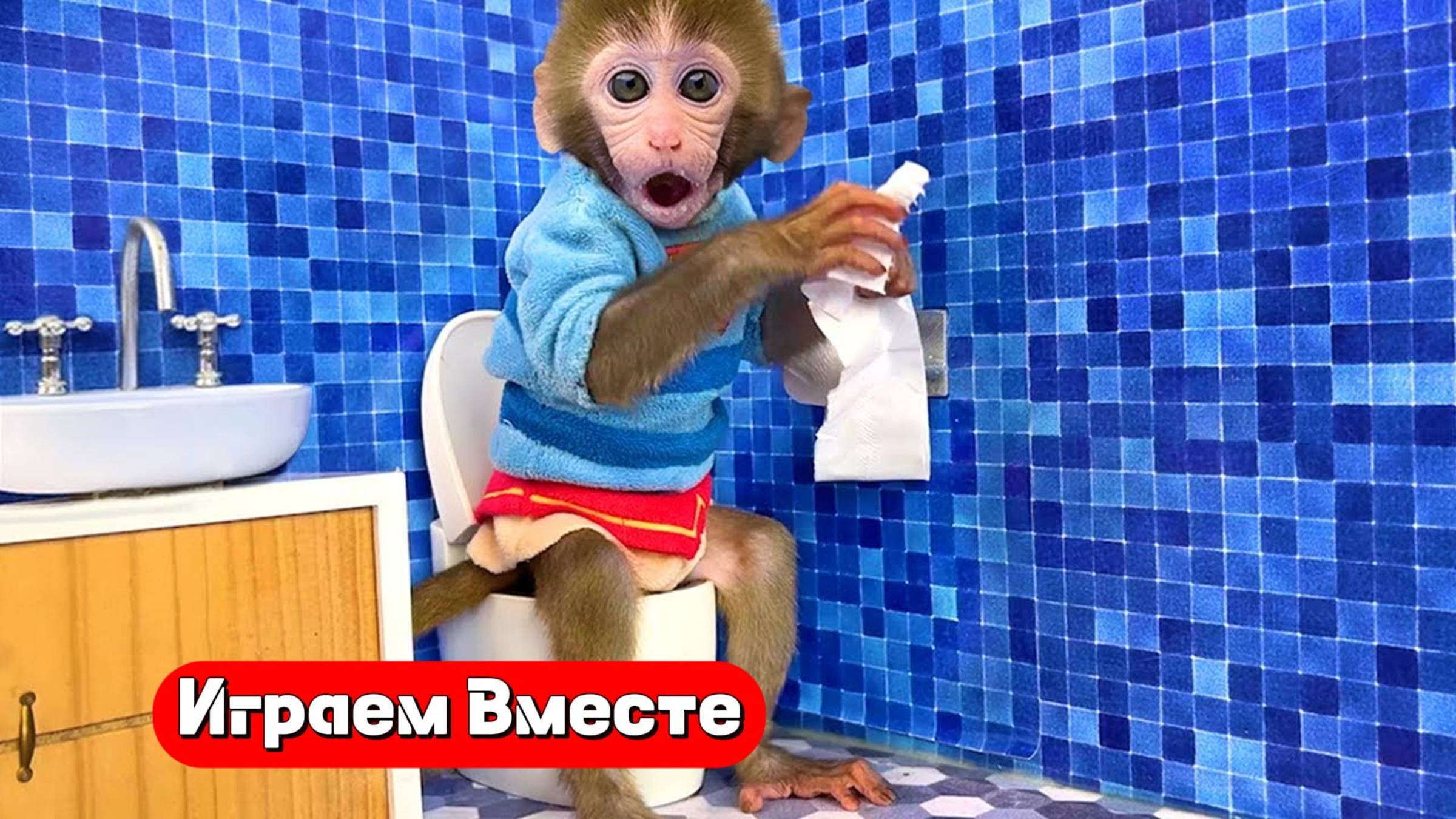 Играем вместе с Обезьянкой и друзьями 🐒🐒🐒 Трансляция для детей 👍