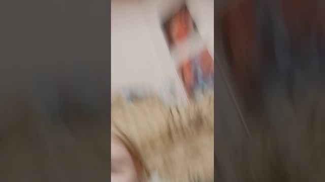 сказка
