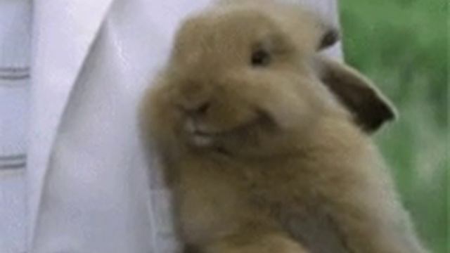 20-12-2024 GIF радость