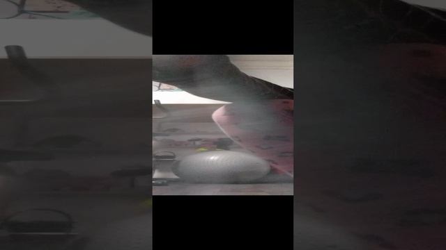 АААА👻 Я БОЮСЬ😱😱😱