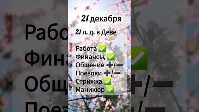 Лунный день 21 декабря 2024 года Гороскоп каждый день! #shorts #астрология #прогноз дня #насегодня