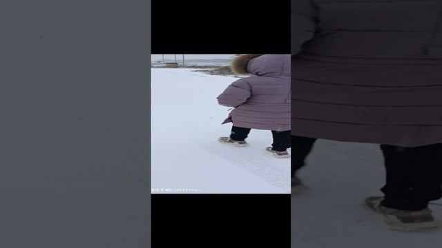 VID_20241213_161535