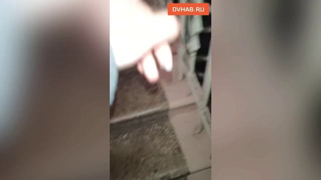 Со смрадным потопом не могут разобраться из-за отъехавшего в Москву жильца