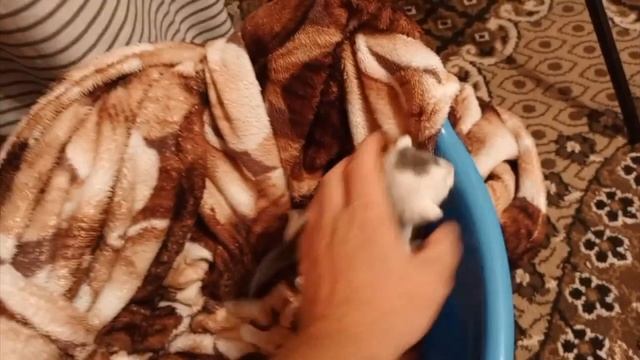 Маленький КОТЕНОК ГАРАЖИК.