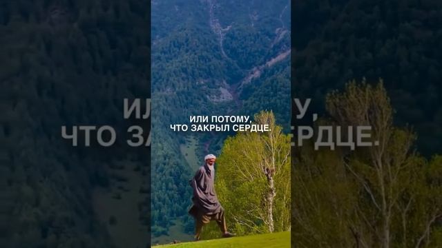 Подпишись на мой канал, чтобы духовно развиваться и находить ответы на глубинные вопросы 🪽
