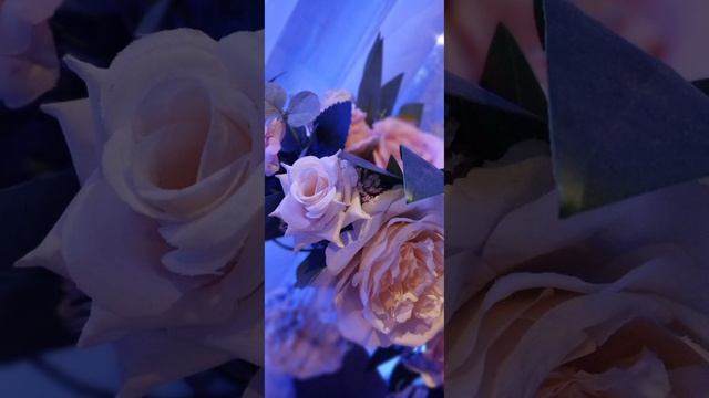 14.12.24 АЗ #ниднябезрифмы