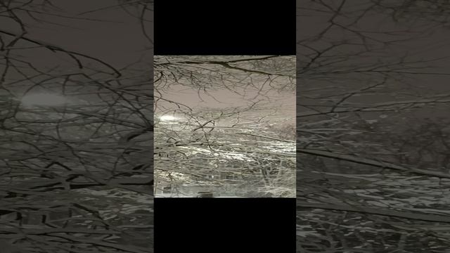 1000017764.mp4