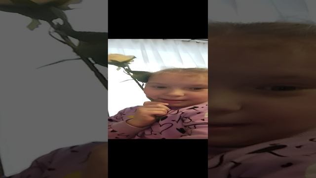 розы розы 🌹