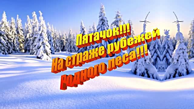 Пятачок!!! На страже рубежей Родного леса!!!