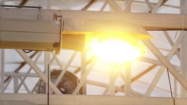 (19.12.2024) Производство тепличных овощей в Хабаровском крае выросло в 1,5 раза за последние 5 лет