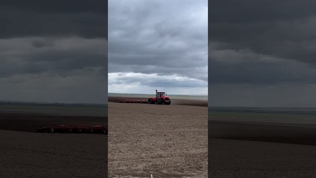 К742 культивация пара #к742 #кпм #культивация