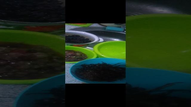 VID_20241219_203313.mp4