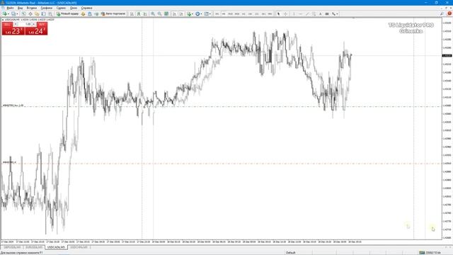 Рабочая ТC "Liquidator Pro" USDCAD