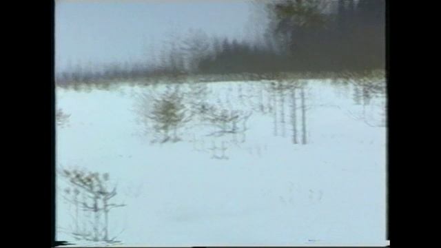 2001-Находка на болоте - остатки самолёта ИЛ на болоте Красный Мох.