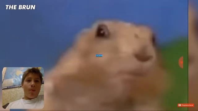 Незасмейся челендж (с водой)