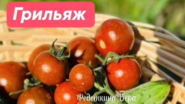 🍅Каталог семян томатов 2024-2025 🍅Как заказать