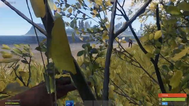 обзор на камень в Rust