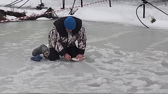 Светлые Горы Форель2 21.12.2024г.