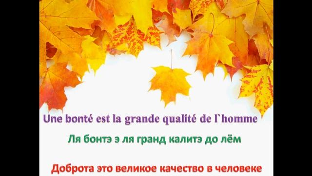 Французский язык УРОК № 66 les qualités