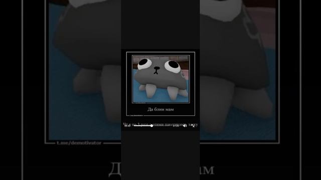 1000018104.mp4