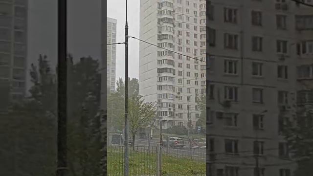 Снегопад, Москва 08.05.2024. Неласковый май
