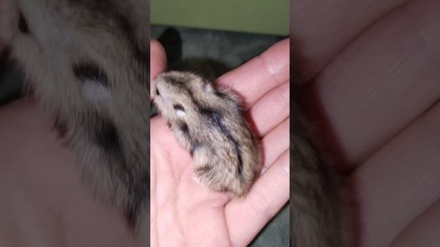 1000053022.mp4