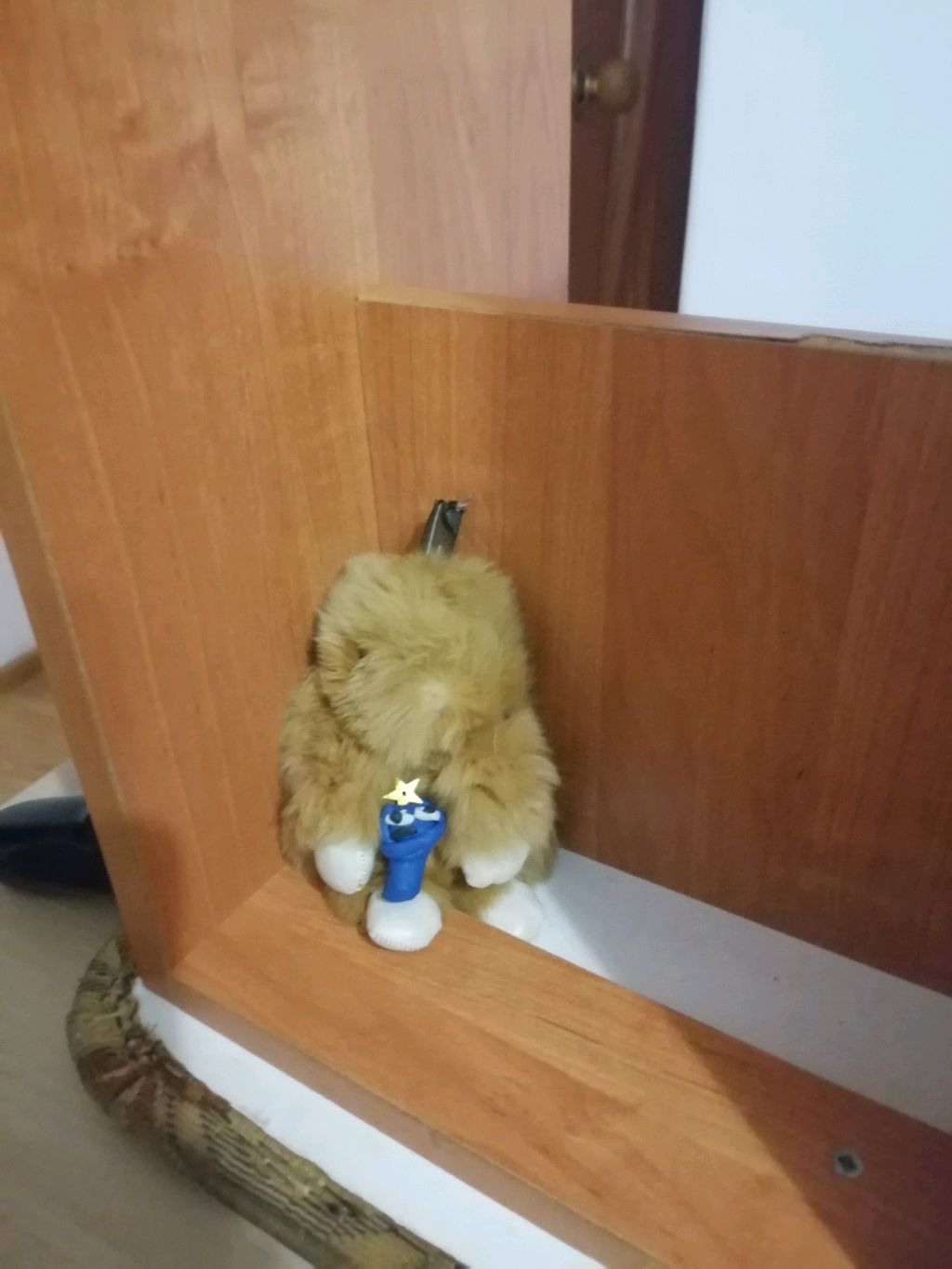 попа пума полный юмор