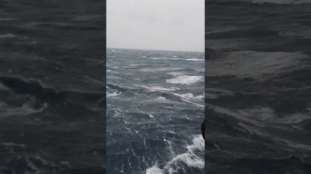 море