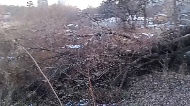 Кисловодск. Река Березовая и отношение людей к природе! 21.12.2024 г.