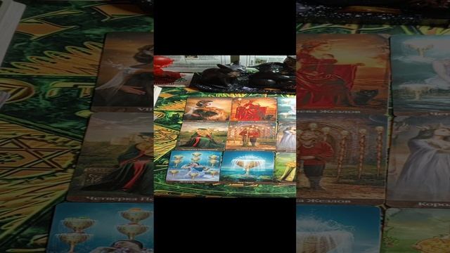 1000029726.mp4