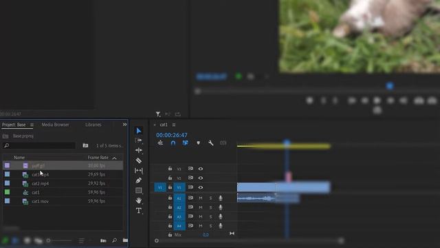 Premiere Pro short lifecircle