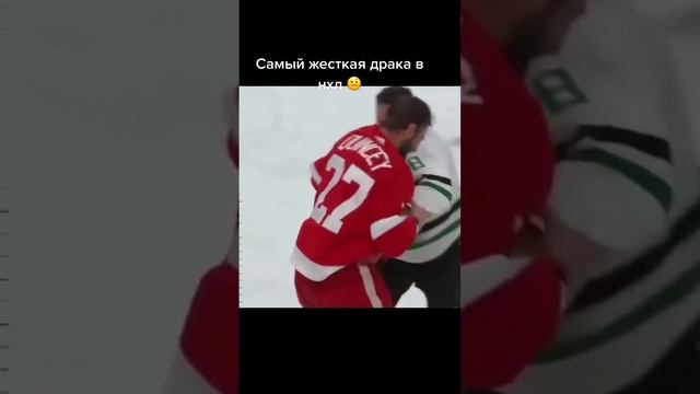 самая жестокая драка в НХЛ