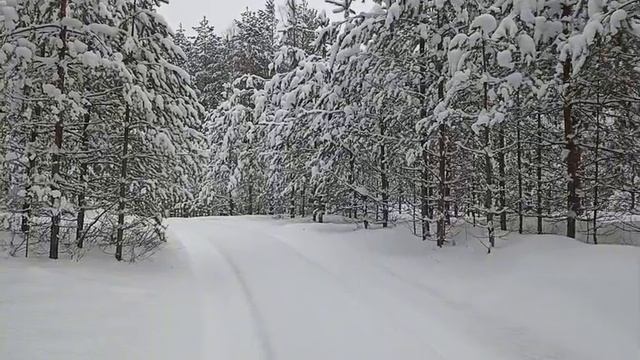 Снова за окном зима.
