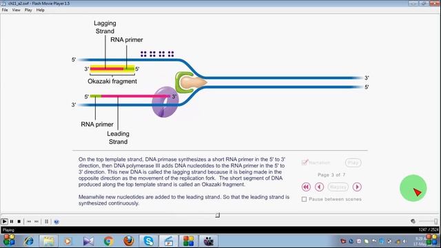 ANIMATION OF DNA REPLICATION PROCESS REPRESENTED BY KOUSHIK EDUCATOR