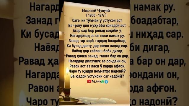 Мавлави Ҷунуни