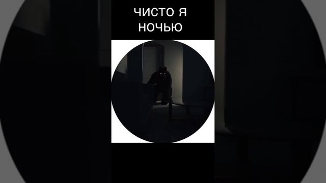 scene_output.mp4