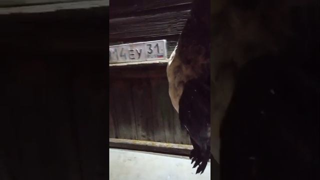 Неплохой улов