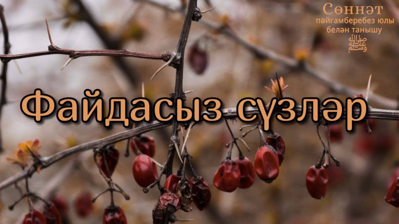 Файдасыз сүзләр | Рамил Гәйнетдинов