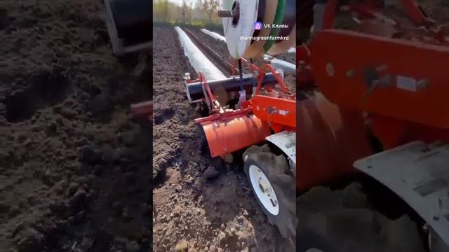 Пленкоукладчик бугрообразователь Кубань