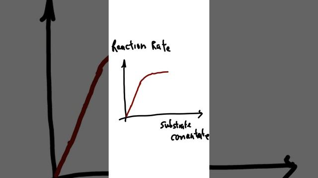Effect Of Substrate Concentration to Enzymatic Reaction
