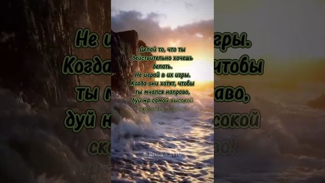 Цитата