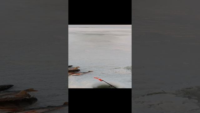 зимняя рыбалка на окуня