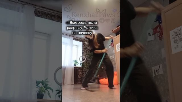 первое видео
