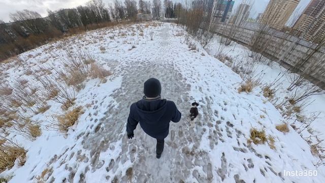 20241221_004540_855.mp4