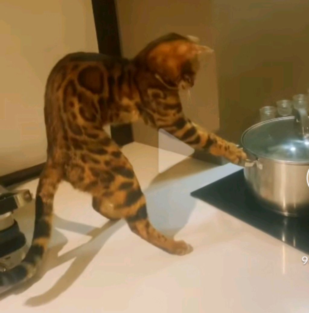 прохожу x