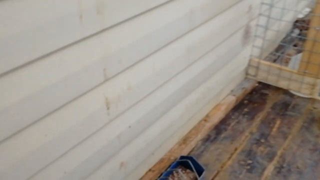 С наступающим новым годом!.mp4