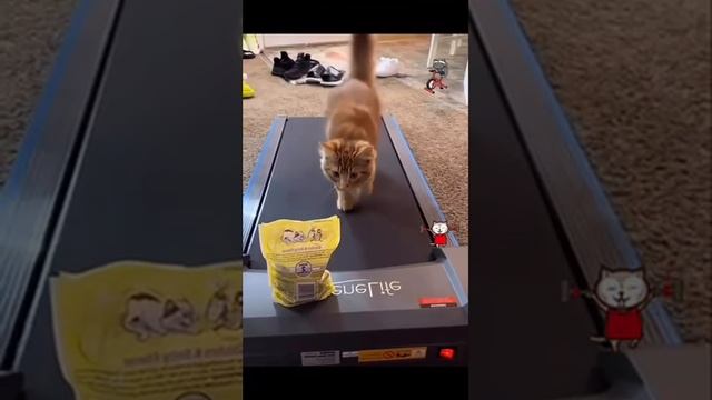1000003069.mp4