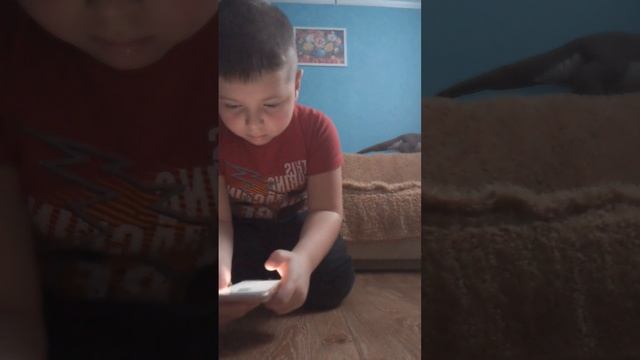 мой тэгэ